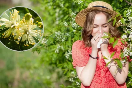 Co pyli na przełomie marca i kwietnia ?