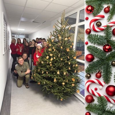 White Festive Merry Christmas Wishes Instagram Post